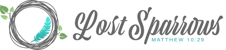 Darren Gagnon:  Lost Sparrows