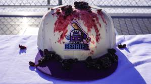 Saskatoon Berries Home Opener! - Vimarsana News