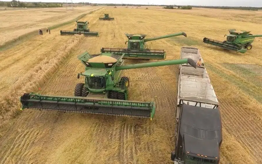 Harvest reaches 81 per cent complete in Saskatchewan