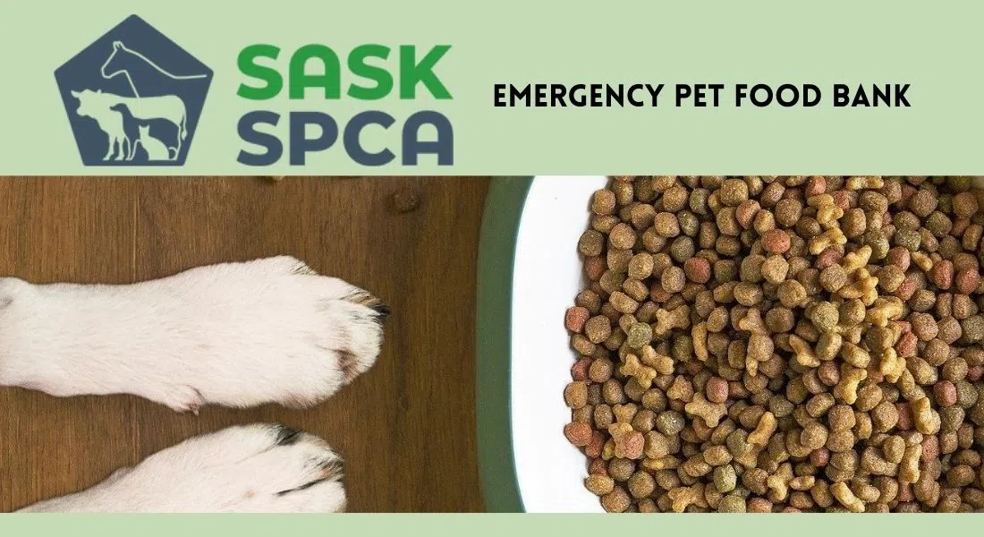 Saskatchewan SPCA gathering donations, pet food for its Pet Food Bank