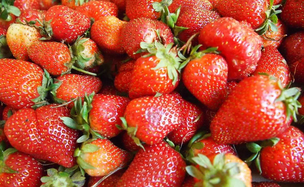 Hepatitis A outbreak linked to strawberries sold in Saskatchewan and