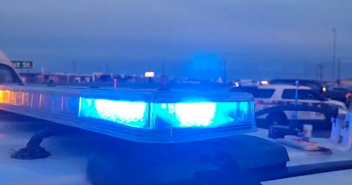 Arborfield man arrested after collision with police vehicle