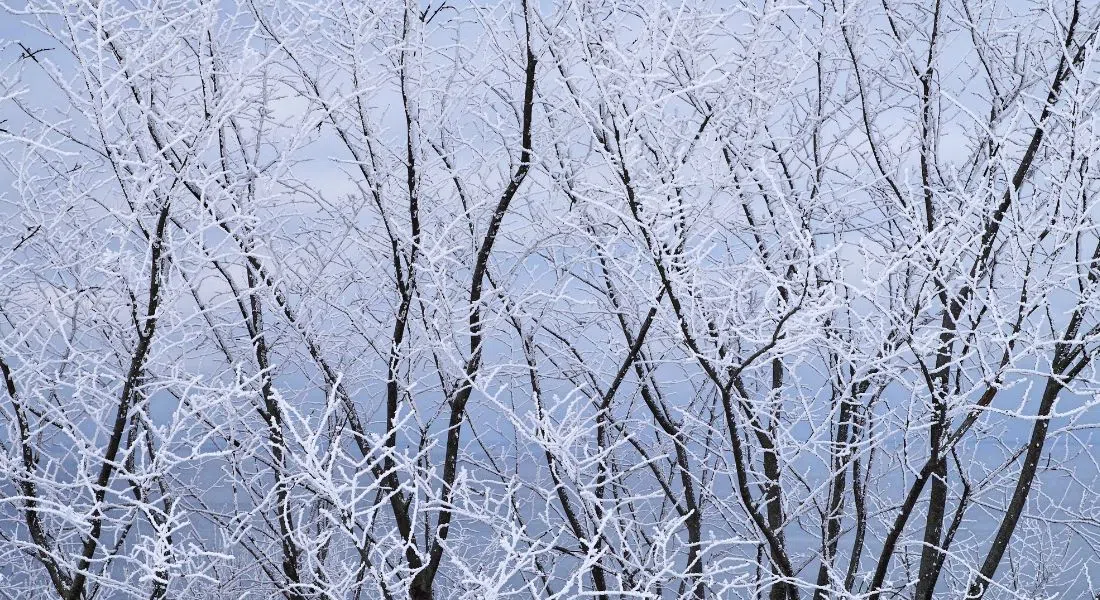 Weather Network’s 2025 Spring Forecast says winter isn’t quite over 92.9 The Bull
