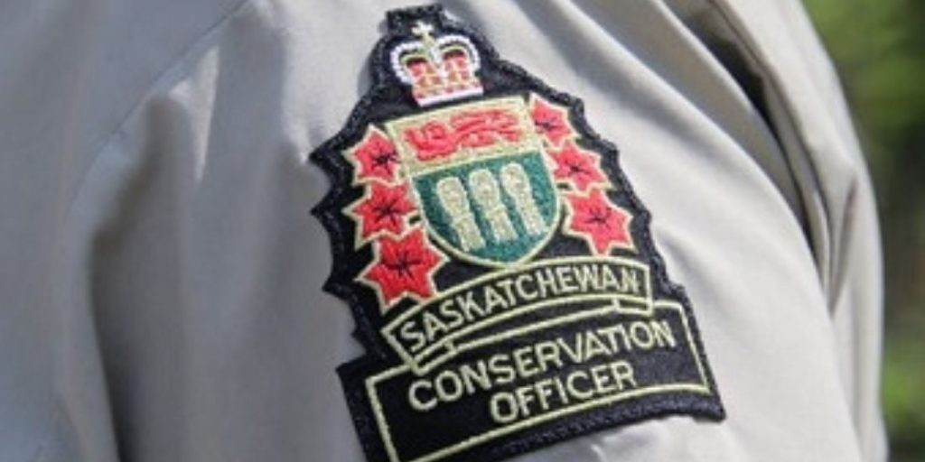 Manitoba men charged for illegal hunting in Saskatchewan - Vimarsana News