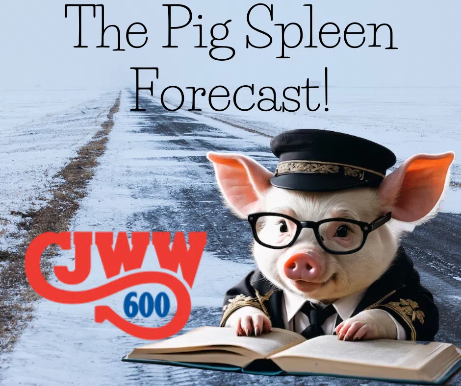 The 2023 2024 Pig Spleen Forecast Country 600 CJWW   The Pig Spleen Forecast 