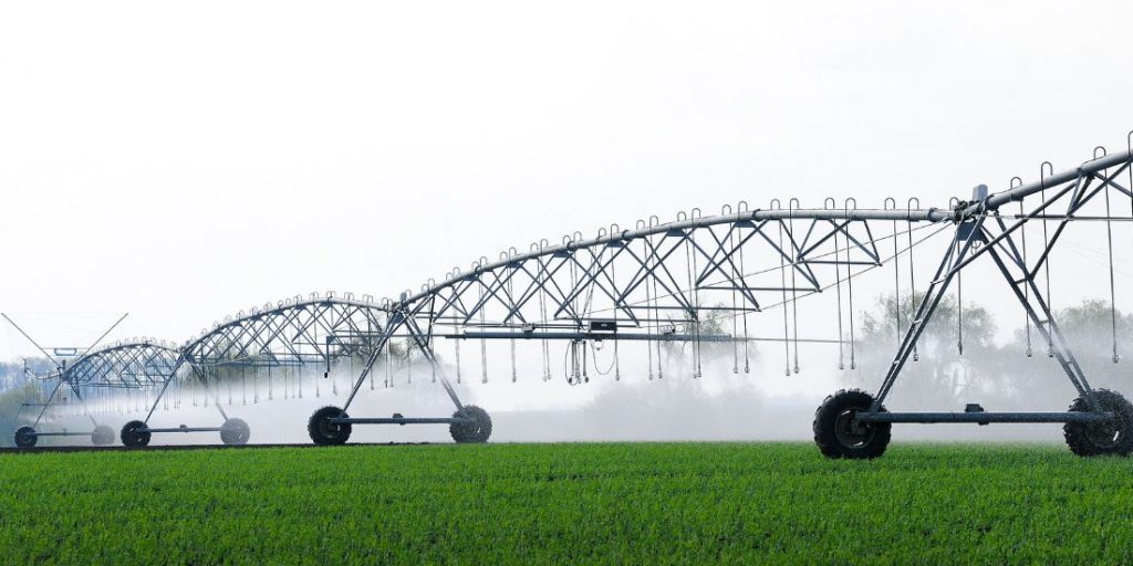 Water expert questions decision to expand irrigation at Lake Diefenbaker - Vimarsana News
