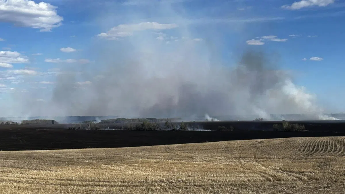 Grass fire threatens homes on First Nation | 98COOL