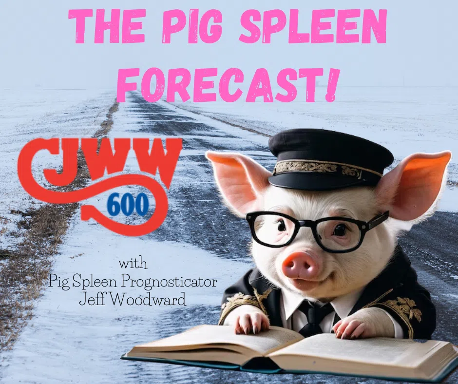 Pig Spleen Forecast for 2025 Country 600 CJWW