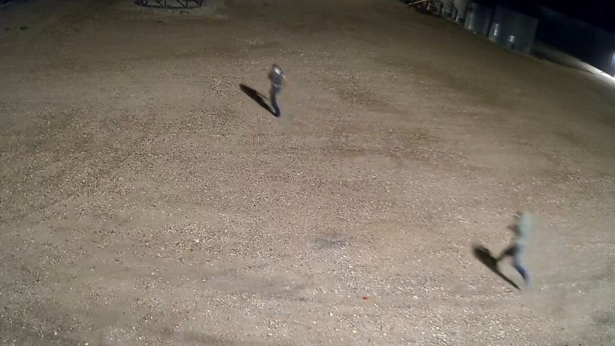 RCMP seek two men after grain spilled at rural property