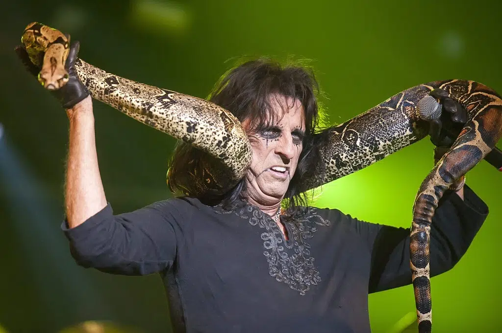 Alice Cooper Q&A with The Washington Post