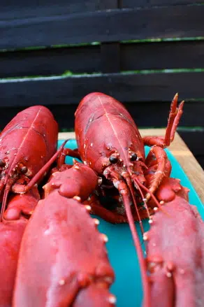 Lobster Festival Expands In 2020
