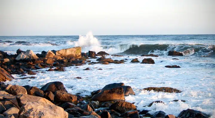 Offshore Petroleum Board Looking For Public Feedback