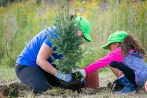   Tree Canada Celebrates The Benefits of Trees
