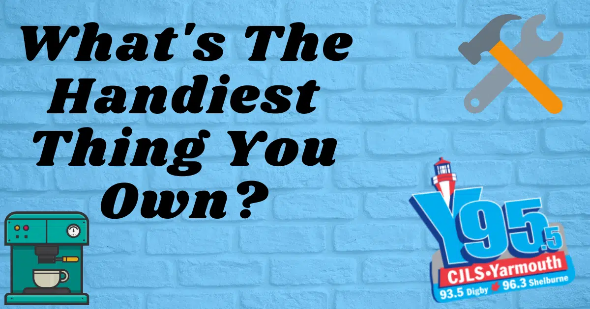 That is Handy! What's the most useful thing you own?