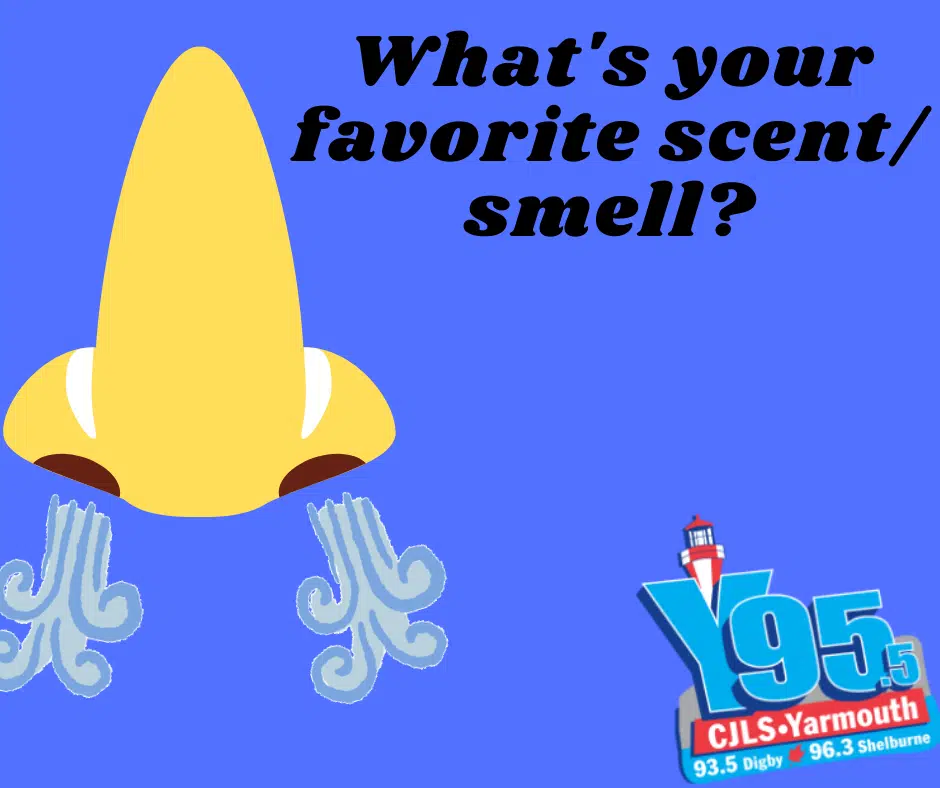 Sniff, Sniff! What is your favourite smell?