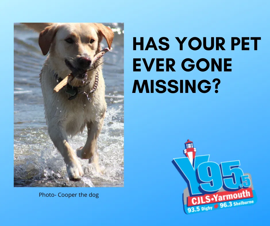 HAS YOUR PET EVER BEEN LOST? DID YOU FIND THEM?