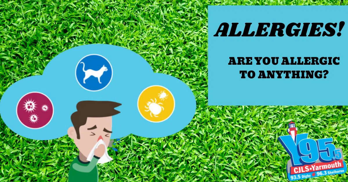 "ACHOO!" Are You Allergic To Anything?