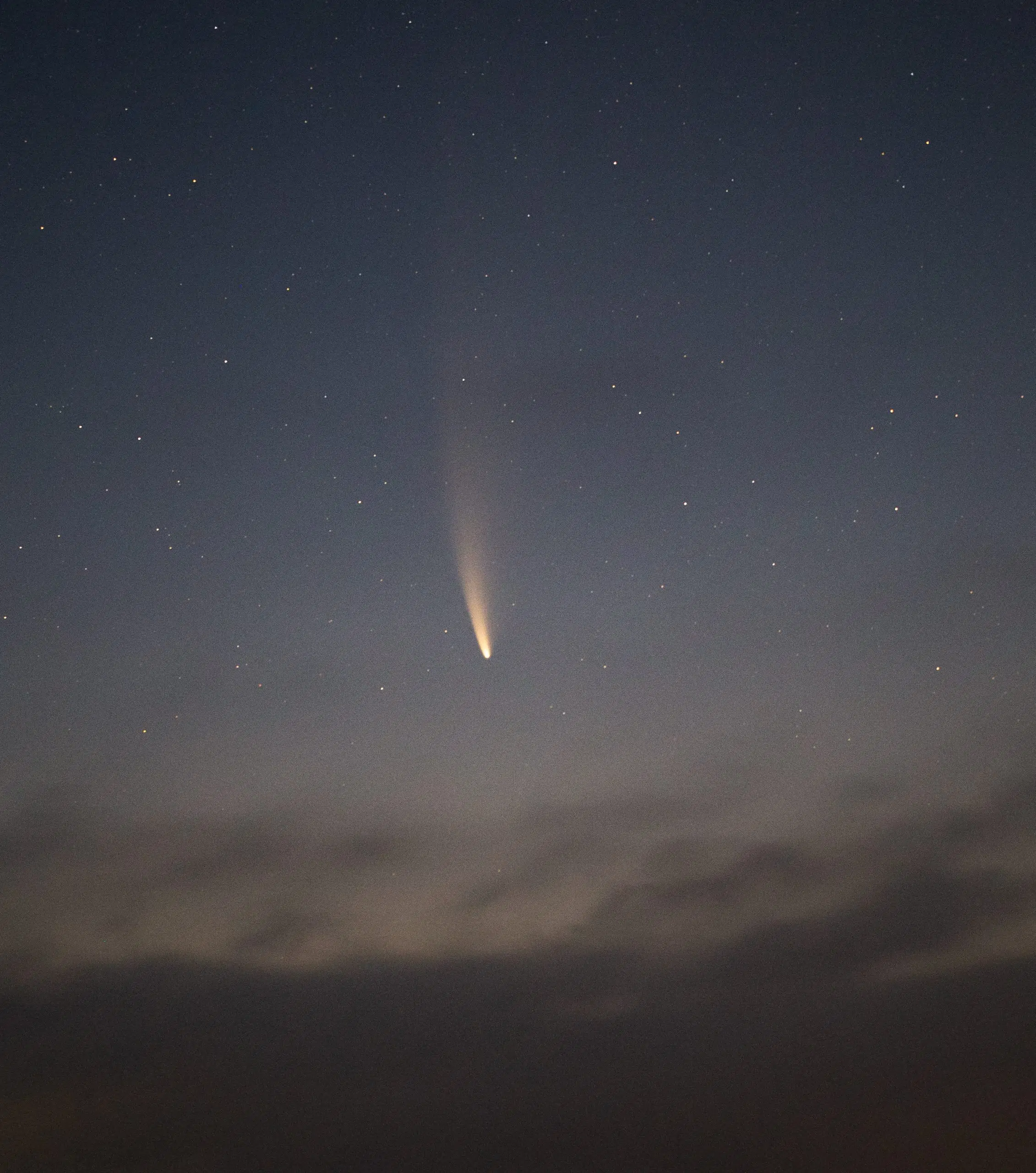 Comet Neowise - We Talk With Astronomer Tim Doucette