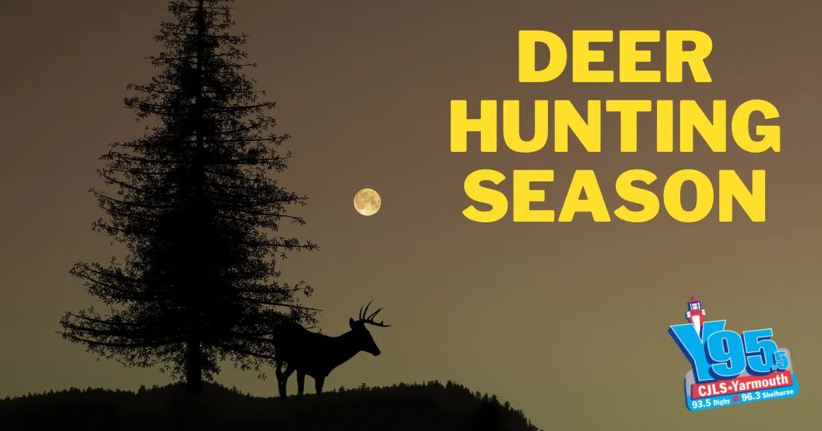Hunting Season Is Almost Here! Do You Hunt?