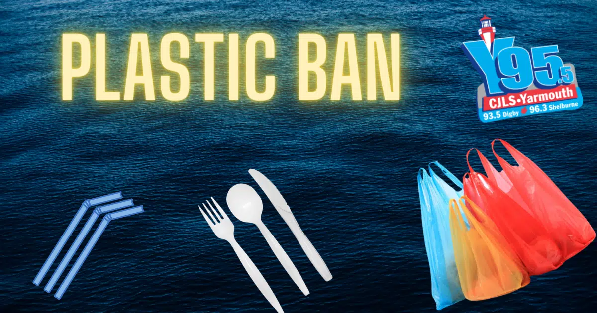 A Full One Use Plastic Ban! What Are Your Thoughts?