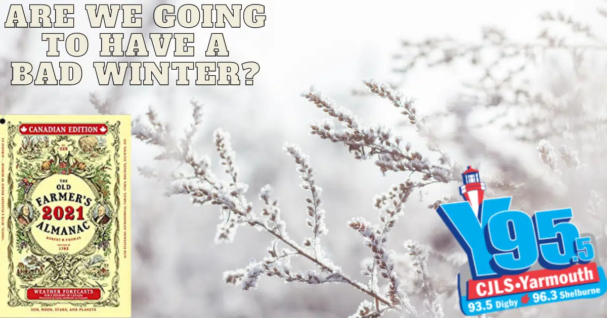 Do You Think We'll Have A Bad Winter? The Farmers Almanac Says Not Really!