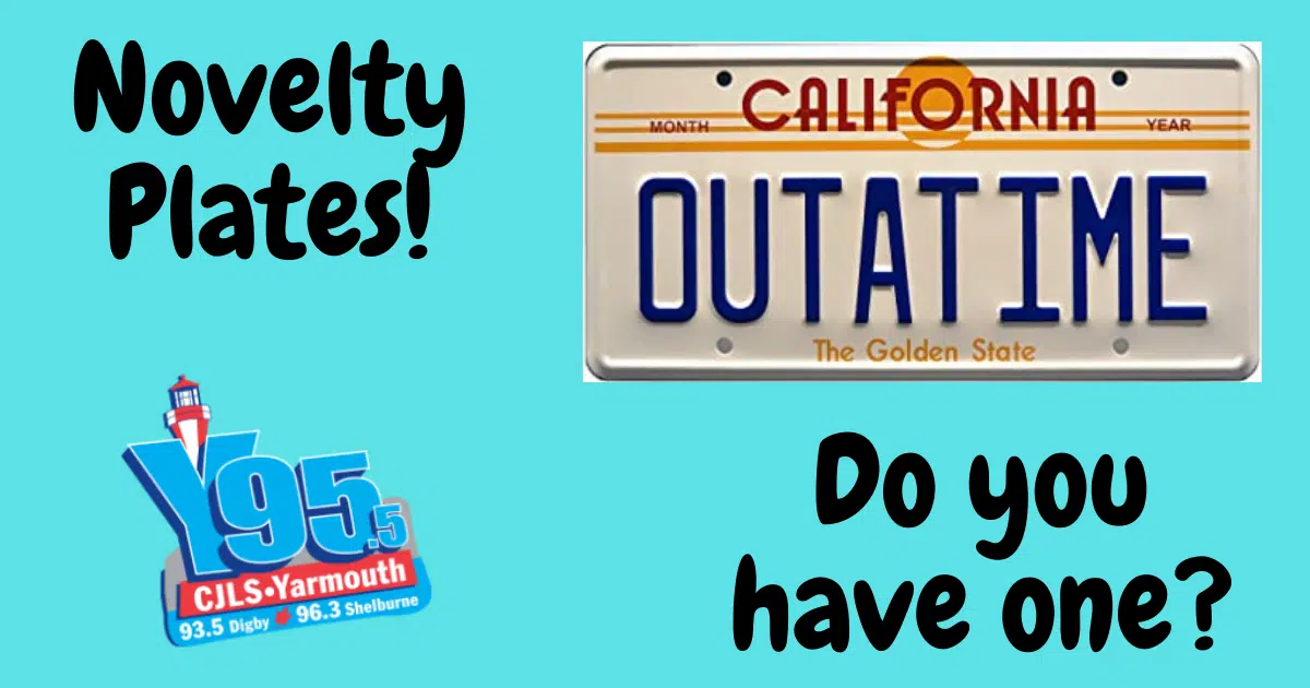 Novelty Licence Plates! Do You Have One On The Front Of Your Car?