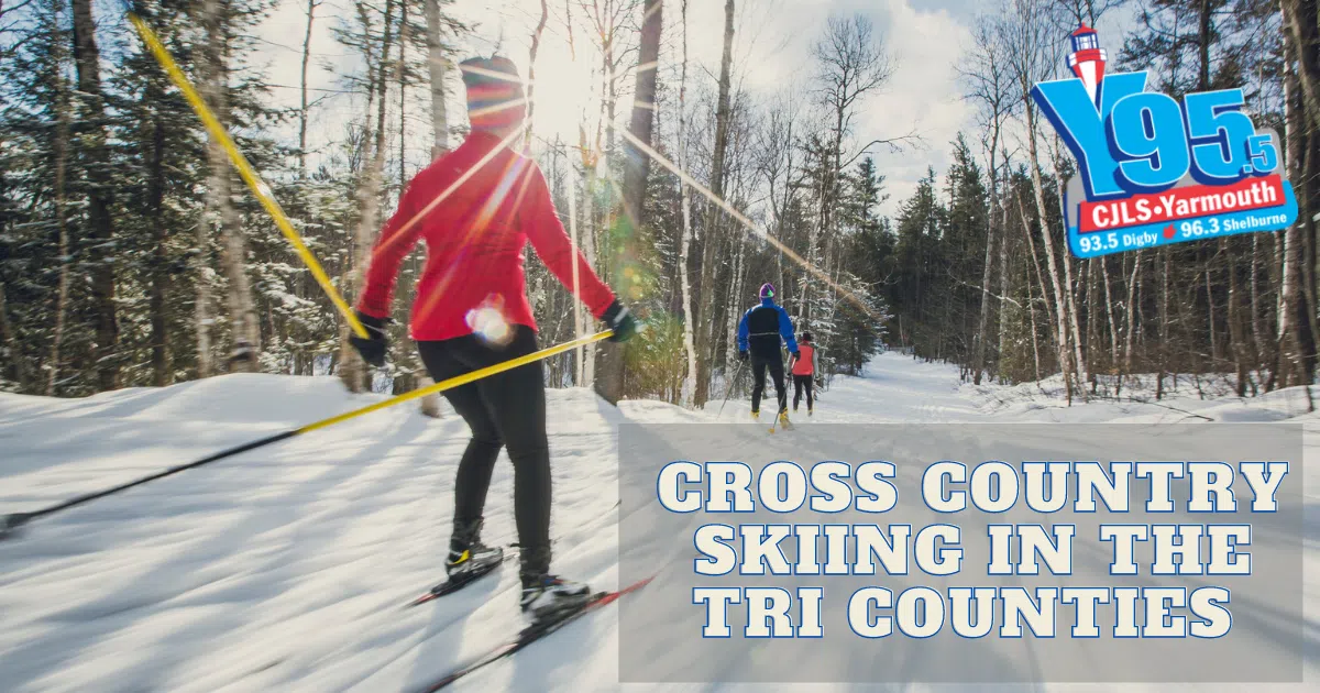 Let's Go Skiing! Where Do You Go In The Tri Counties?