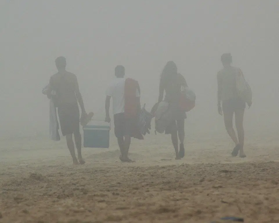 Fog and all the Foggy details.