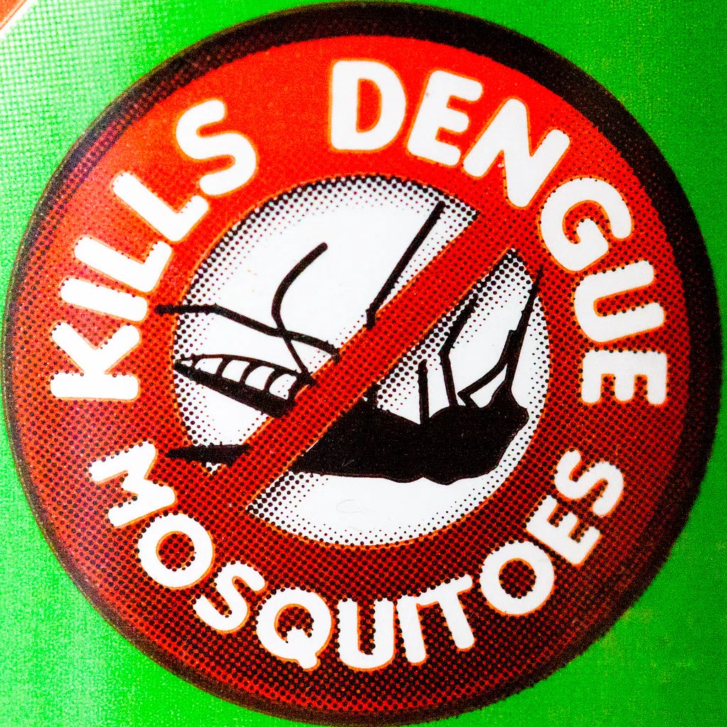 Black Flies / Mosquitoes and You !