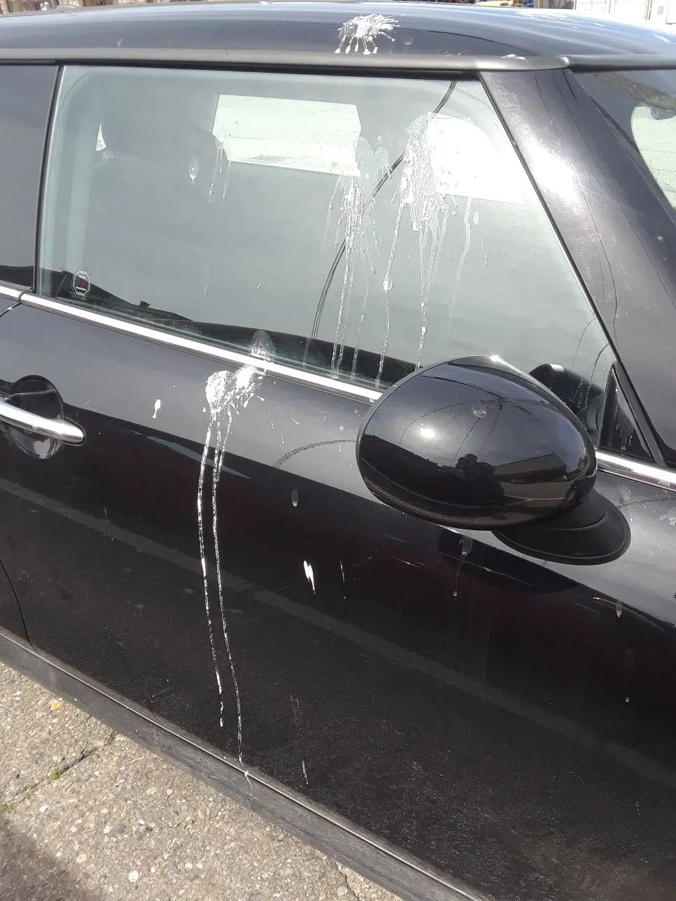 Seagull Droppings and Your Car .