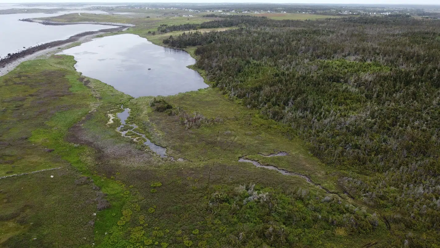 Boreal Salmon Presents to MODY on Proposed Salmon Farm