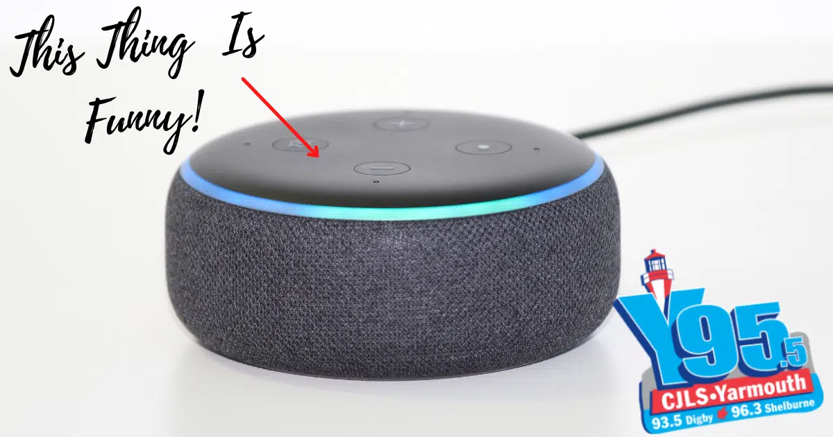 The Funniest Things To Ask Your Smart Speaker!