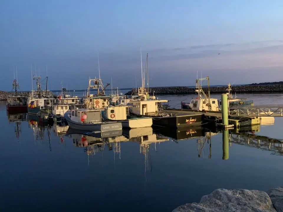 DFO Gives Update On Operations St. Mary's Bay