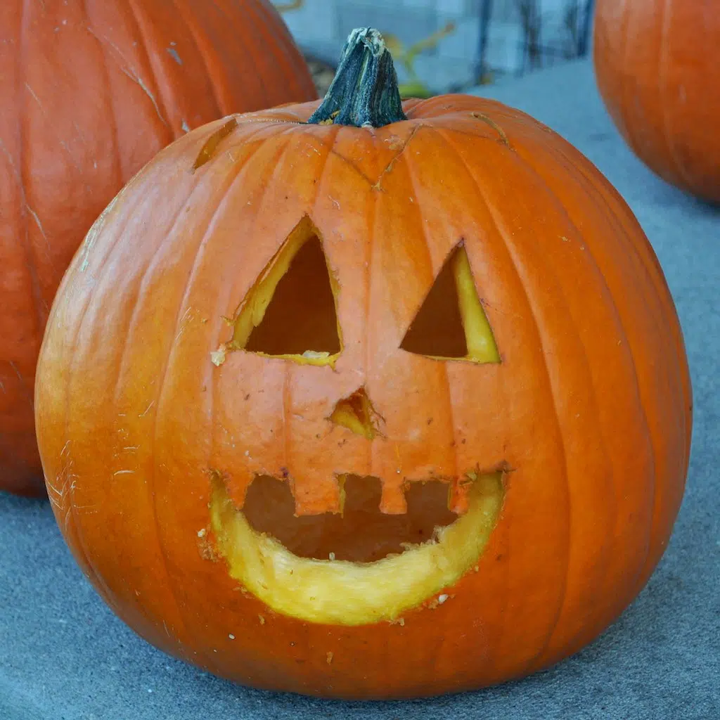 Pumpkin carving , is it a thing in your household ?