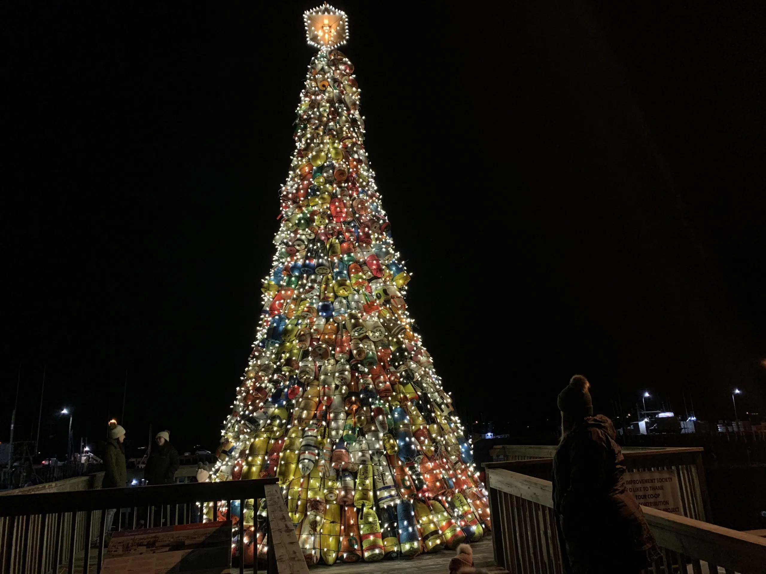 Buoy Tree A Big Hit In West Pubnico