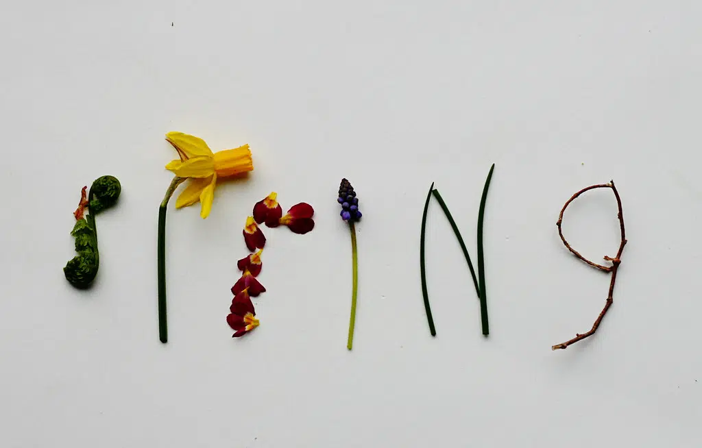 Spring Fever ! It's a real thing. have you ever had it ?