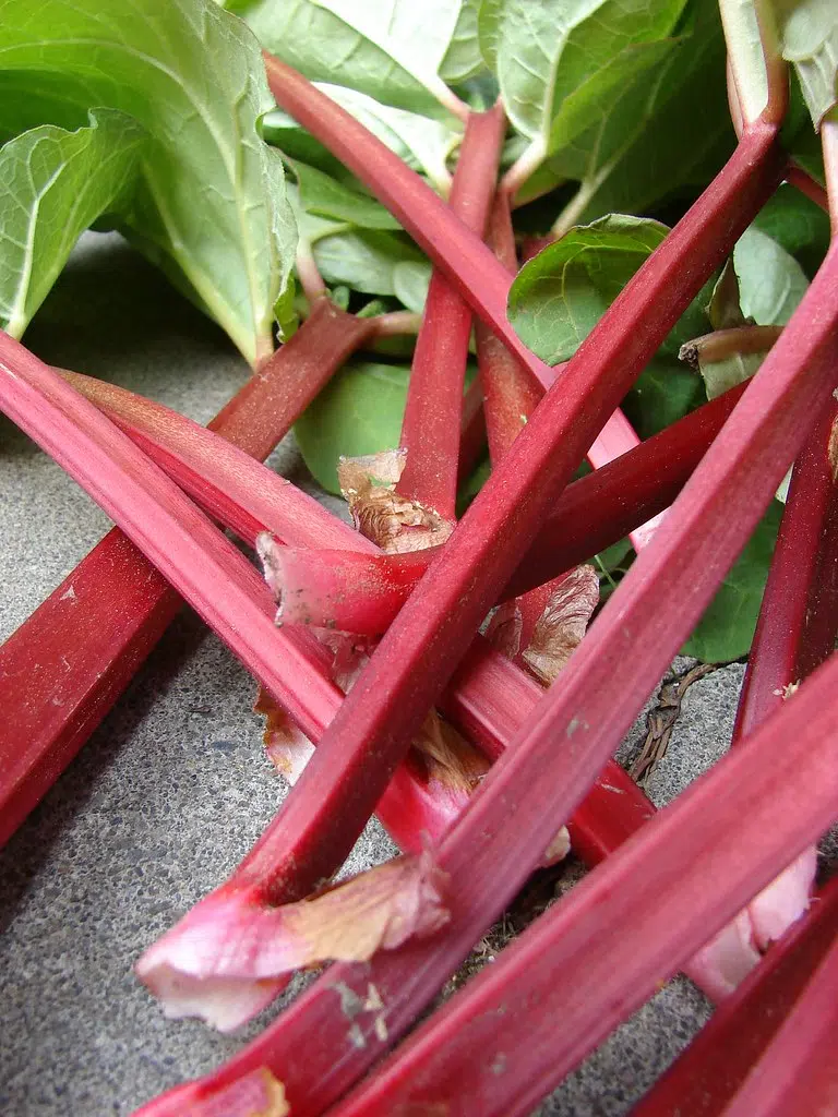 Rhubarb ! Those who like it, like it a lot . Check my blog for some facts .