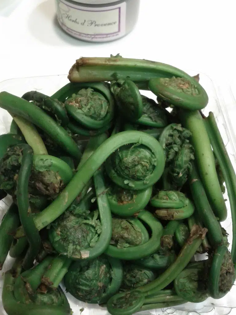 Fiddleheads. All you need to know. Like em , Yay ? or Nay ?