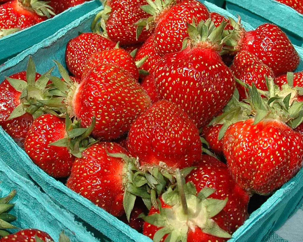 Local Strawberries are Here !