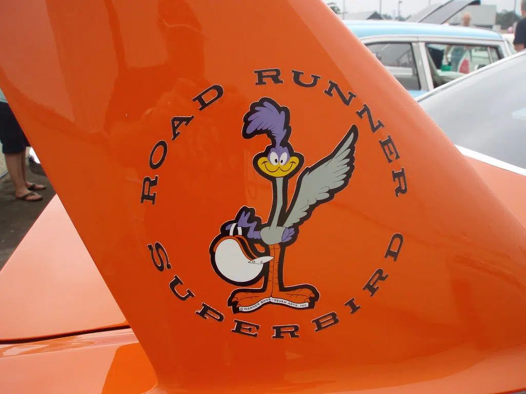 Rules Of The Road Runner !
