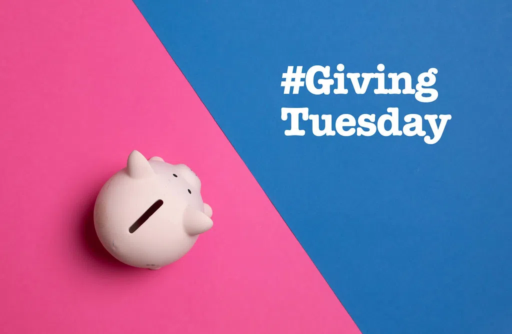 " Giving Tuesday " Yes It's a Thing !
