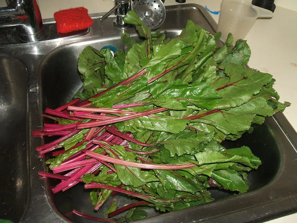 Beet Greens ! Super healthy , do you  Eat them . Yay ? or Nay ?