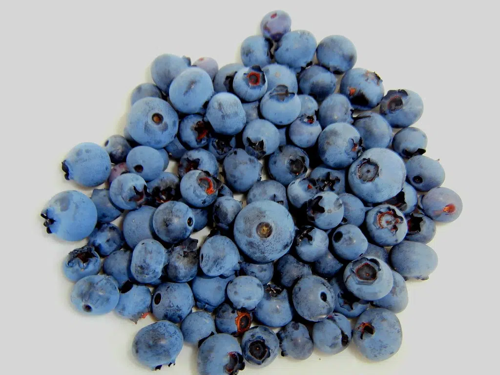 Blueberries .. All the info you need to know and  What to make with them .
