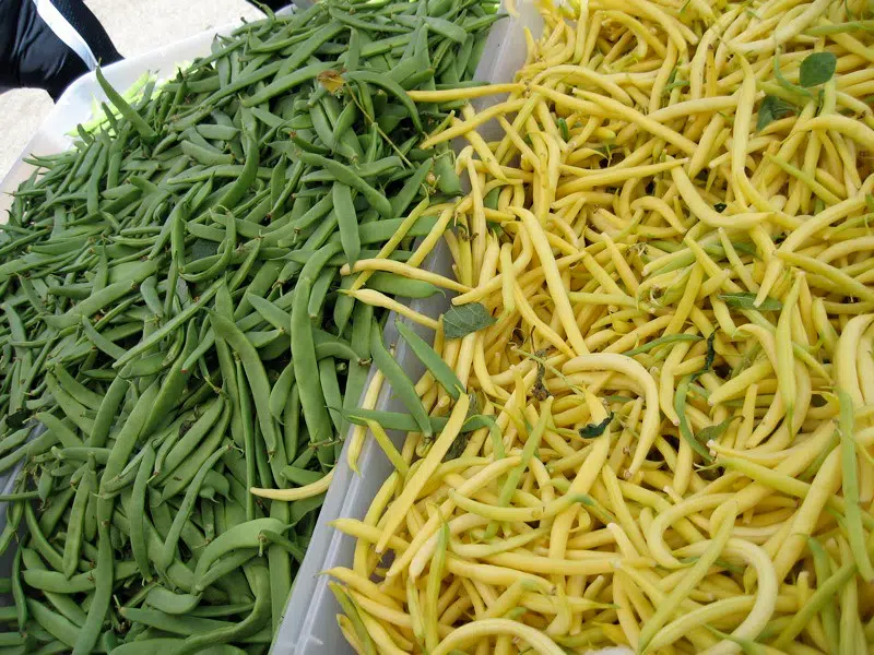 Green Beans or Yellow Beans  - what do you prefer and why ?