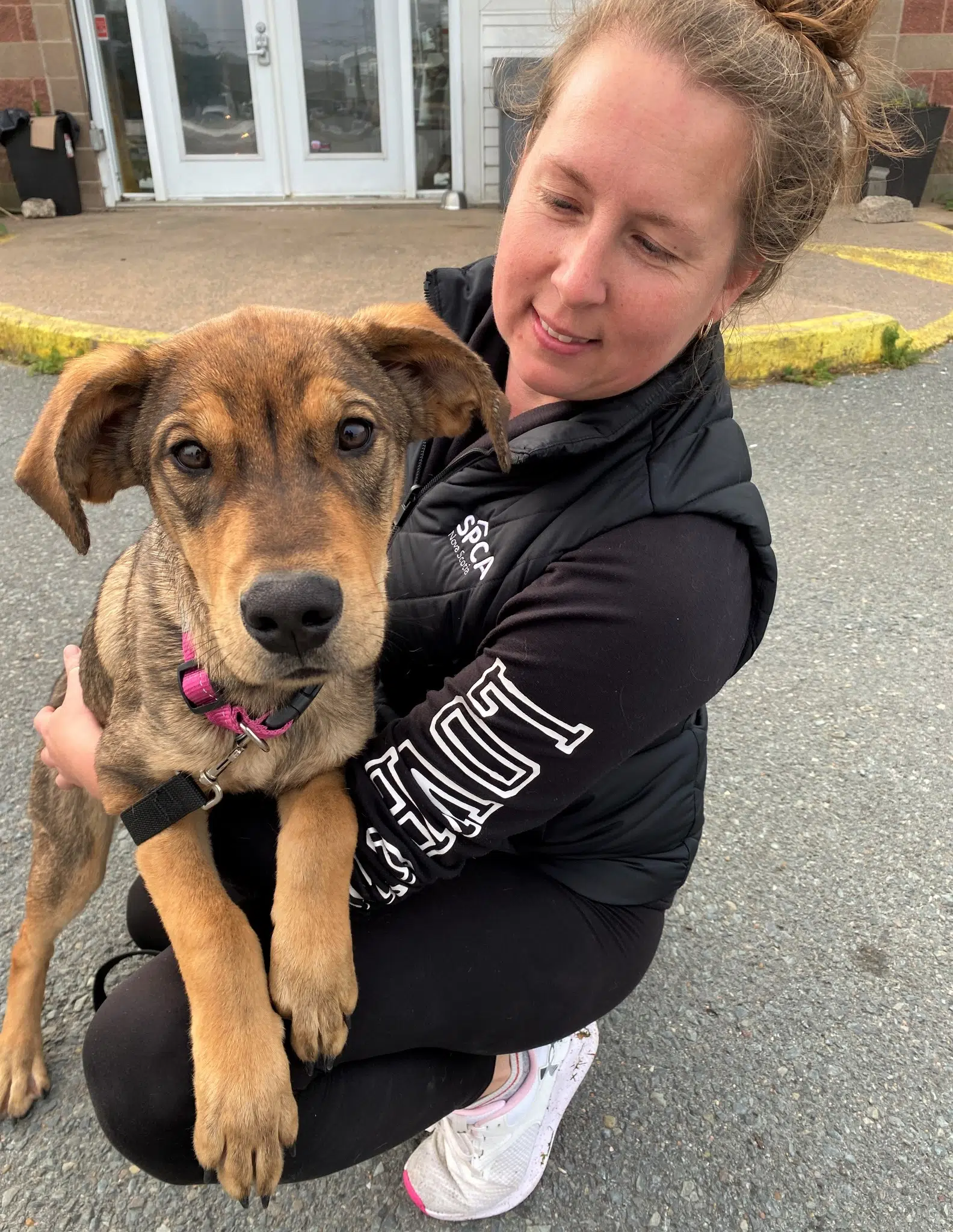These Dogs Were Evacuated From The N.W.T Wildfires And Have A New Home Here In Nova Scotia