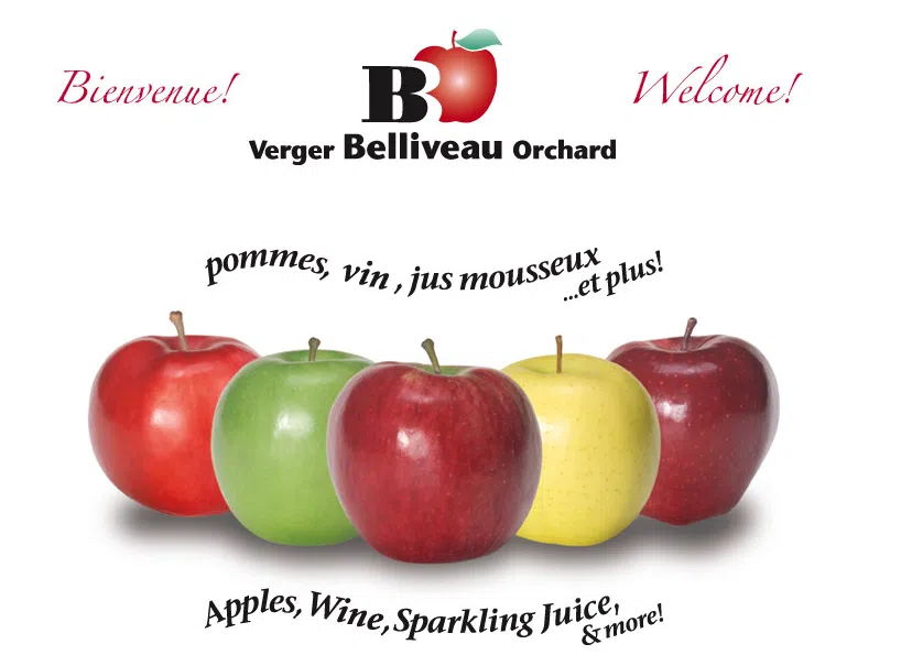 Apple Picking Season Is Underway At Verger Belliveau Orchards