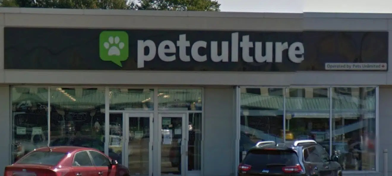 Both Petculture Stores To Close In Moncton And Dieppe