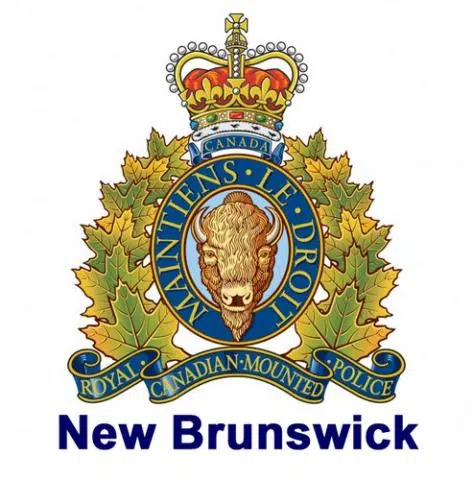 Seven Men Arrested In Moncton Prostitution Crackdown