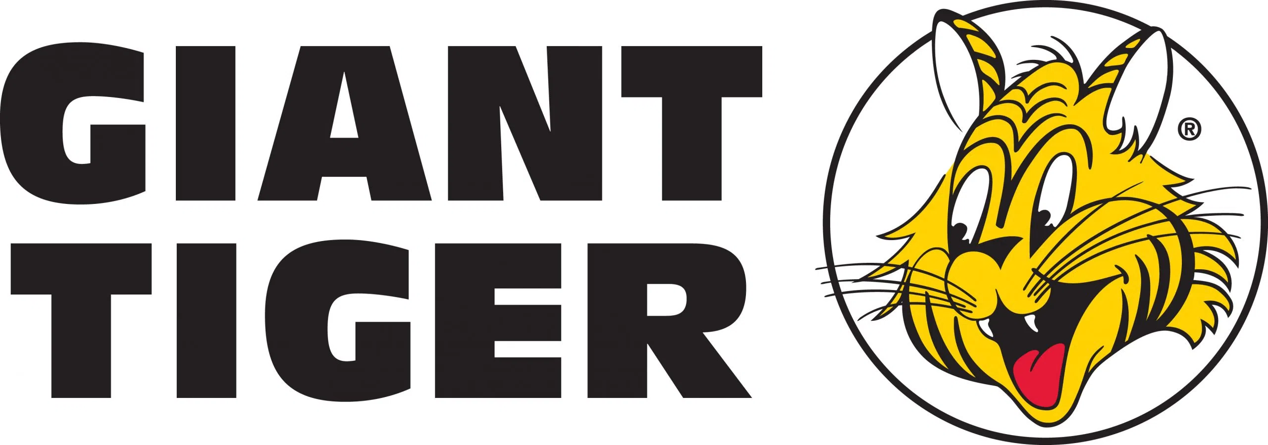 Giant Tiger To Open In Riverview This Summer