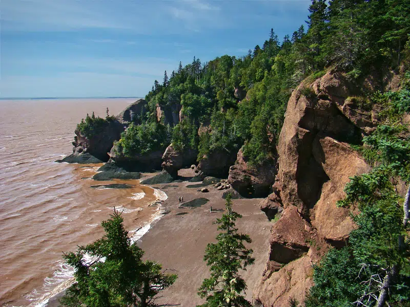 Hopewell Rocks Change With Every Tide